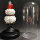 Cabinet of Curiosities globe with sea urchins phyllacanthus imperialis