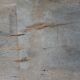 Old wooden trough / drinking trough