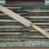 12 silver metal knives