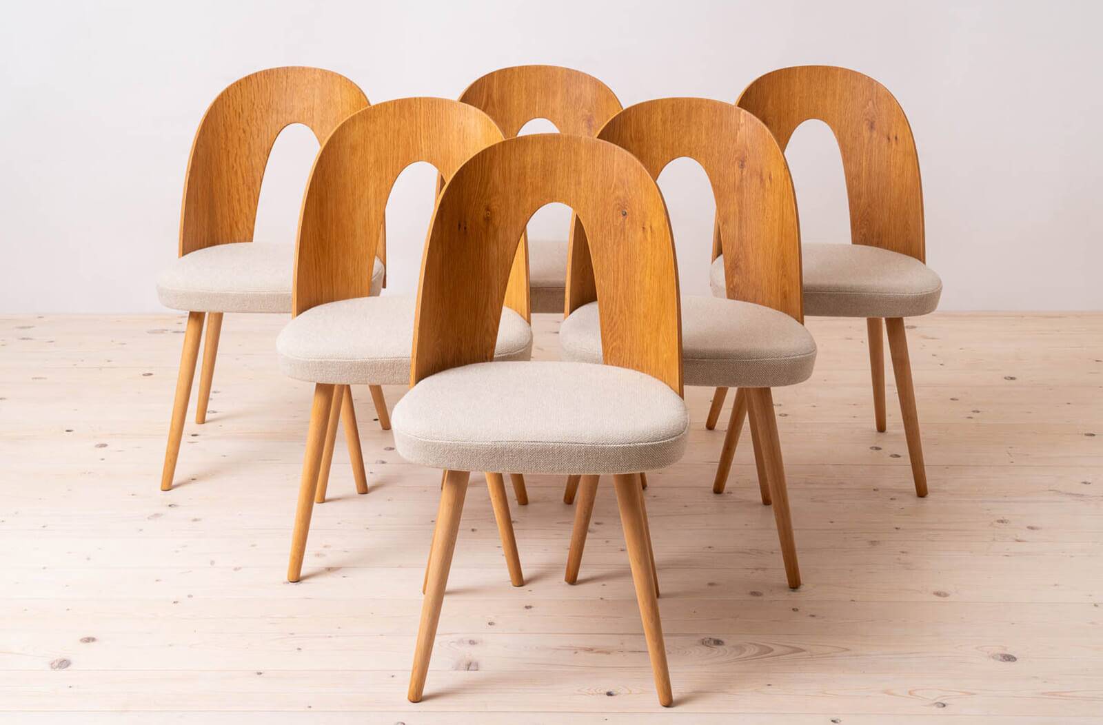 Set of 12 Mid Century Dining Chairs by A.Šuman, 1960s, Reupholstery Options