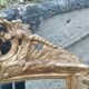 Antique Louis XVI style gilded wood mirror