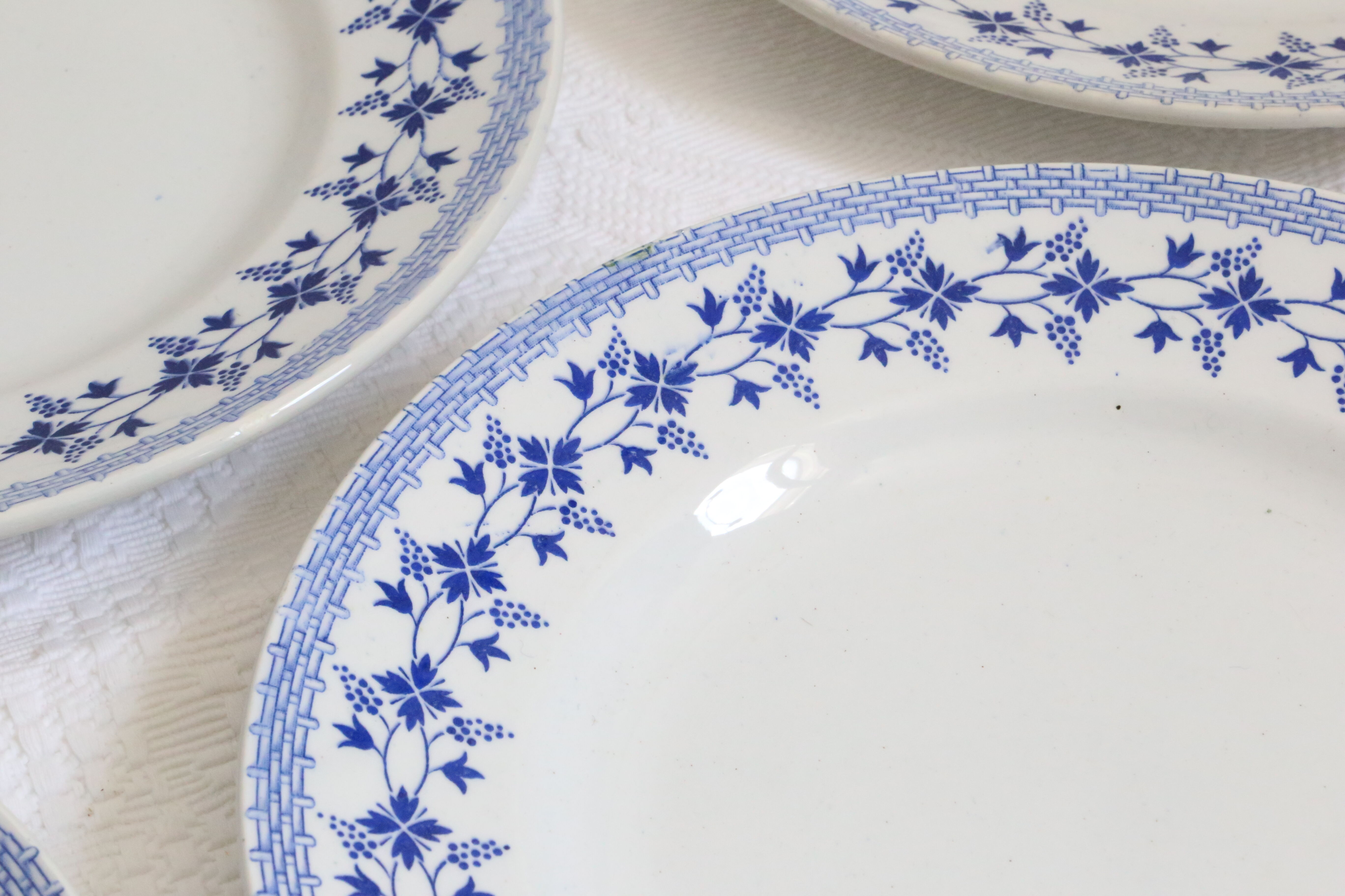 Ensemble de 9 assiettes plates, saint Amand, Bleuets, terre de fer