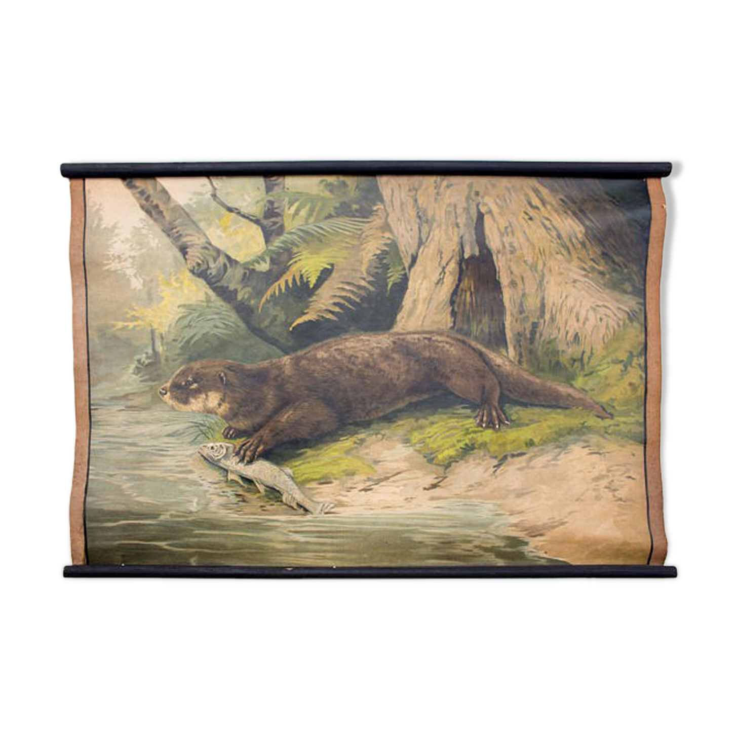 Poster "Otter" educational rack 1891