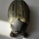 Pierrefonds sandstone beetle box