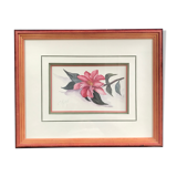 Original and signed botanical watercolor