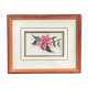 Aquarelle botanique originale et signée