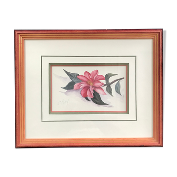 Original and signed botanical watercolour