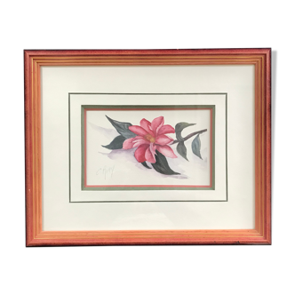 Original and signed botanical watercolor