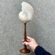 Large pearly Nautilus shell on turned wooden base, old vintage cabinet of curiosities