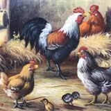 Panel oil