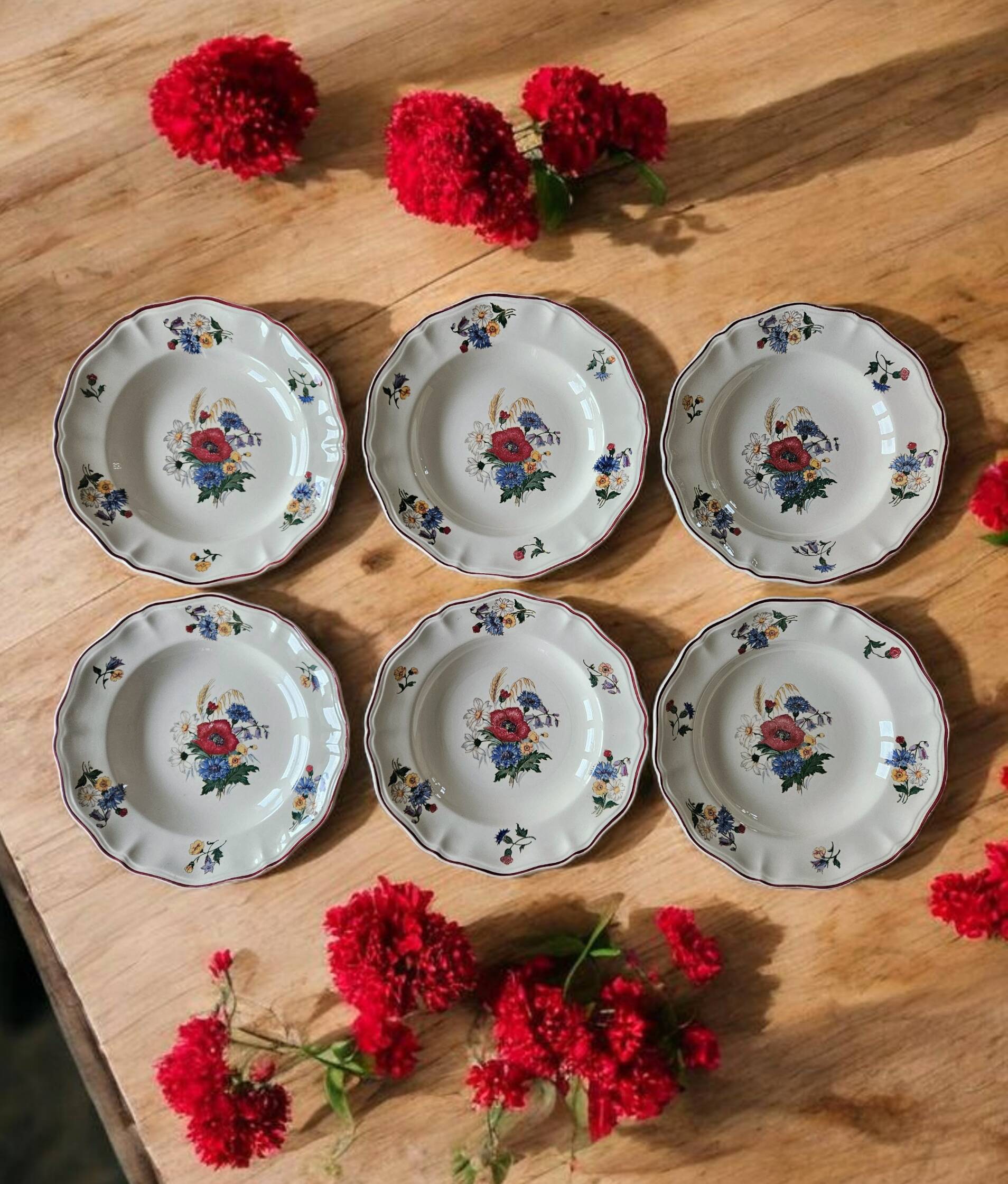 6 large antique deep plates in Sarreguemines earthenware