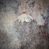 Flower suspension, Iris model, 16 petals in rattan and white linen