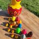 Chicken with eggs and chicks