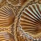 Assiettes St Jacques Longchamp