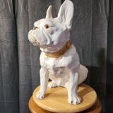Bouledogue français en céramique manufacture de bavent 1900 france.