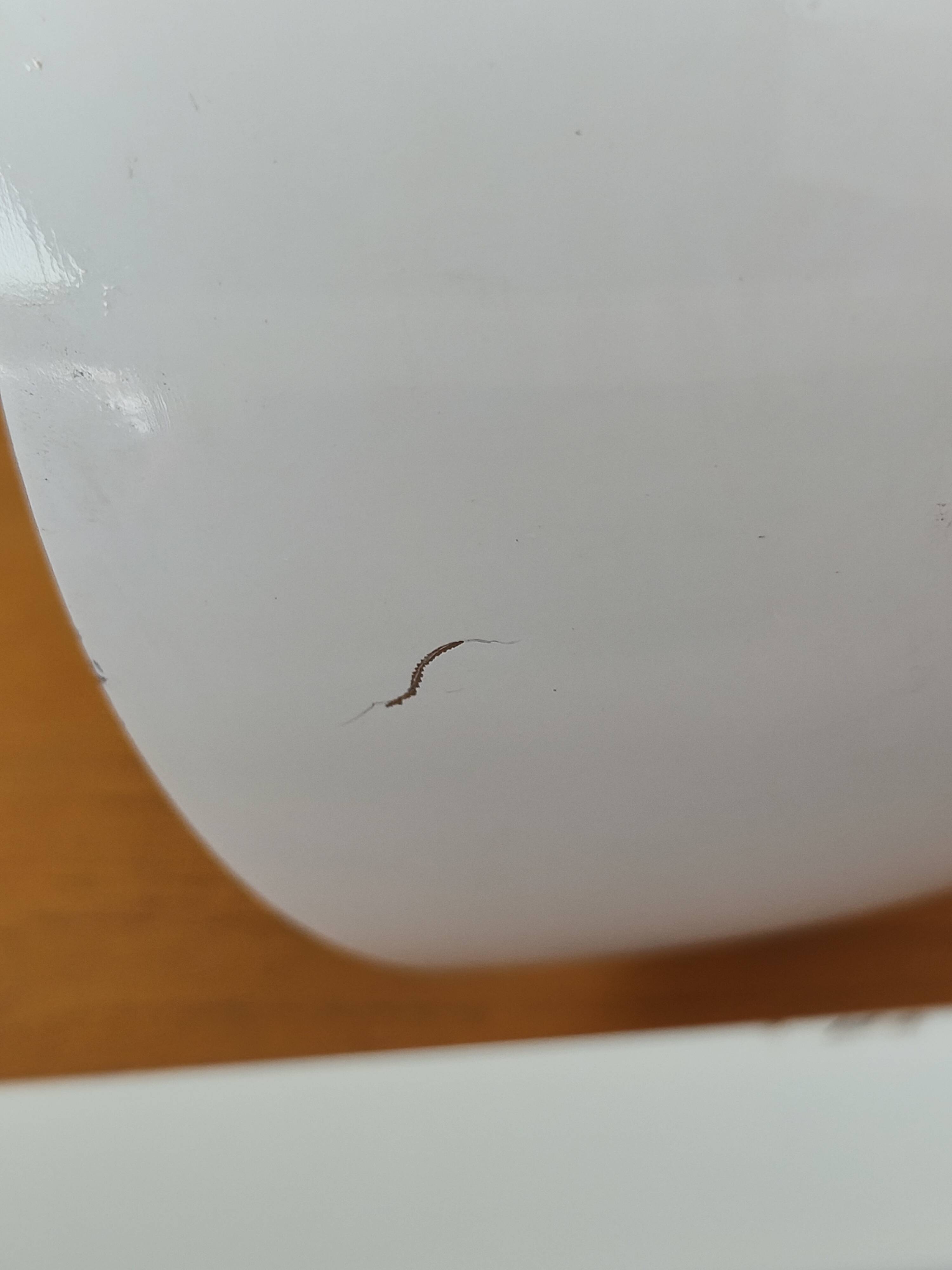 White articulated desk lamp