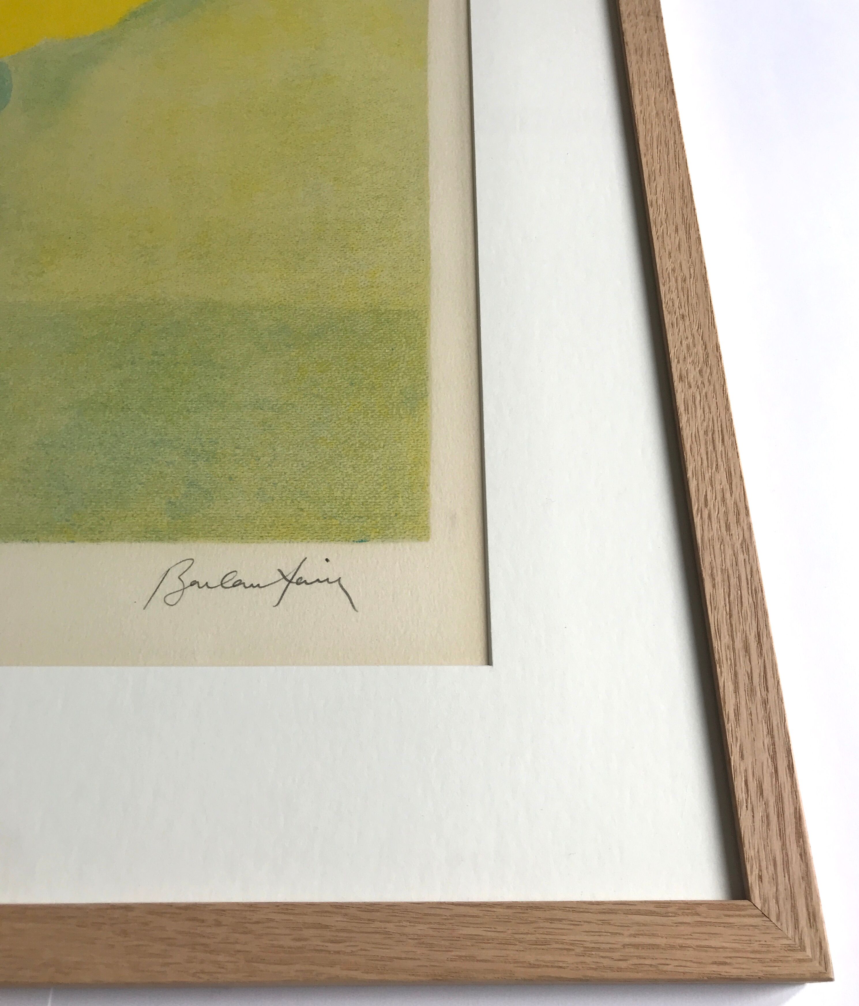 Signed and justified lithograph by pierre boncompain, untitled (tulips baroques), 1982