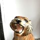 Tiger in earthenware