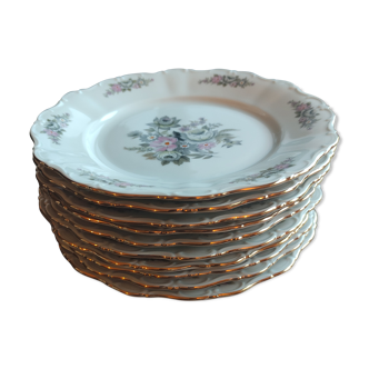 10 assiettes plates Seltmann Weiden - Roses et grises