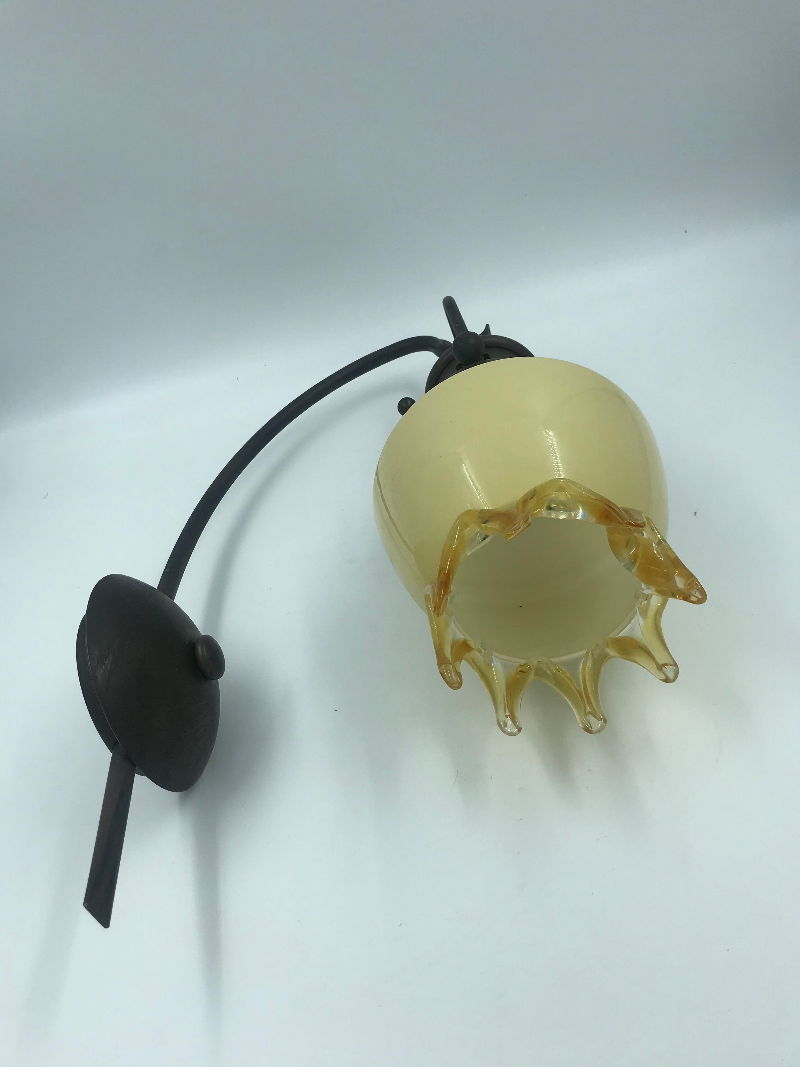 Decorative glass and metal wall light