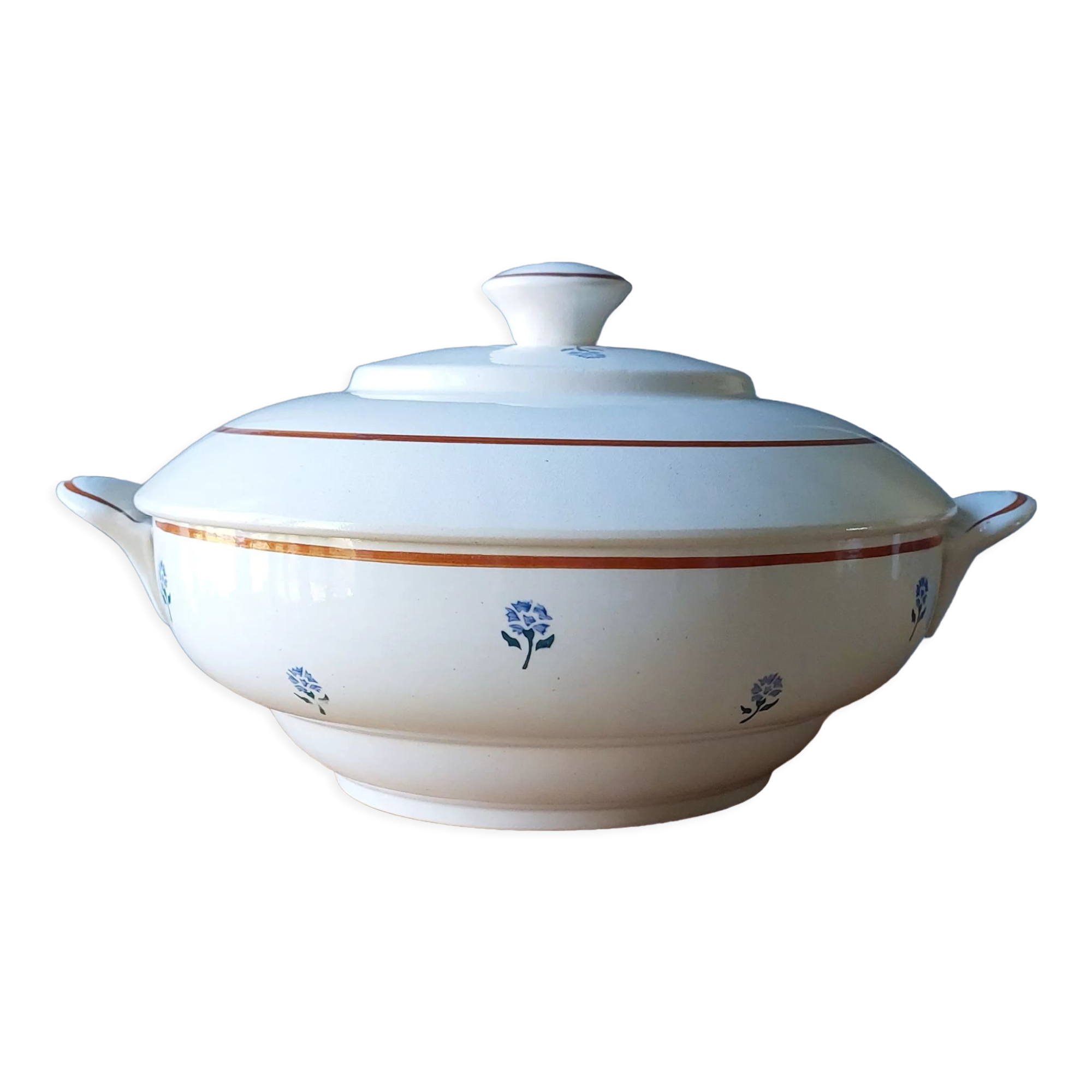 Salins tureen
