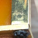 Gold Starry vintage 60 brass jewelry box - Galalithe scale-style