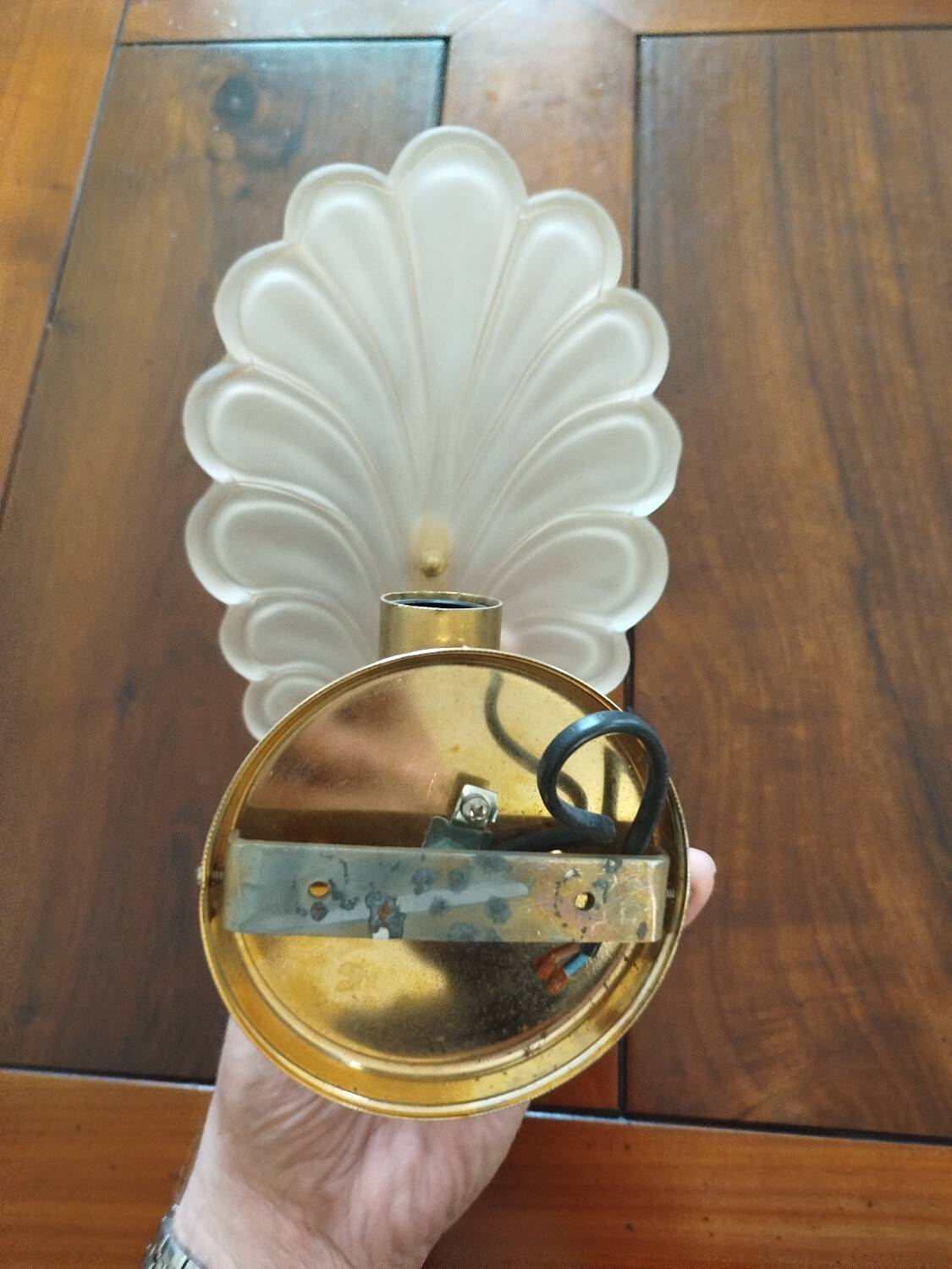 Pair of wall lights with frosted glass and brass shell design.