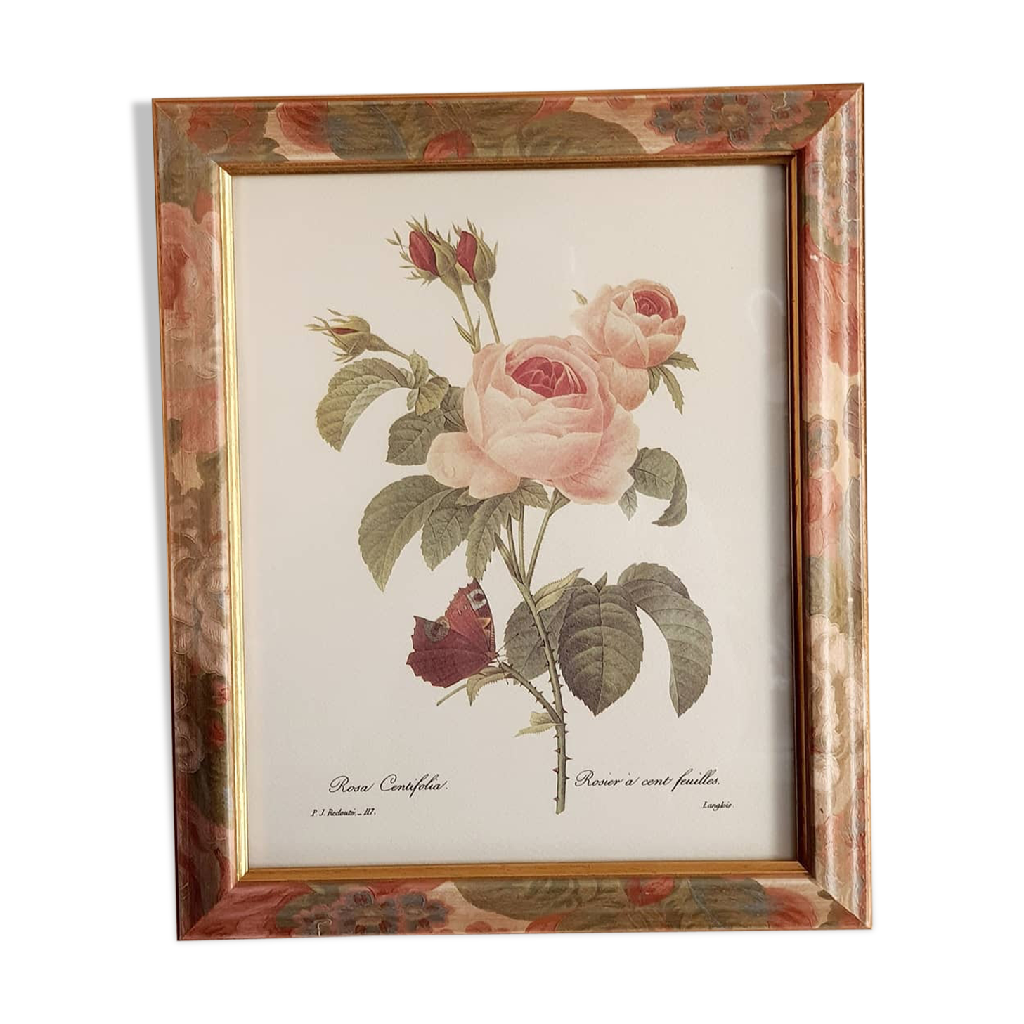 Table lithograph PJ Redouté Rosier 100 leaves 117