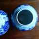 Pair of blue and white chinese vases