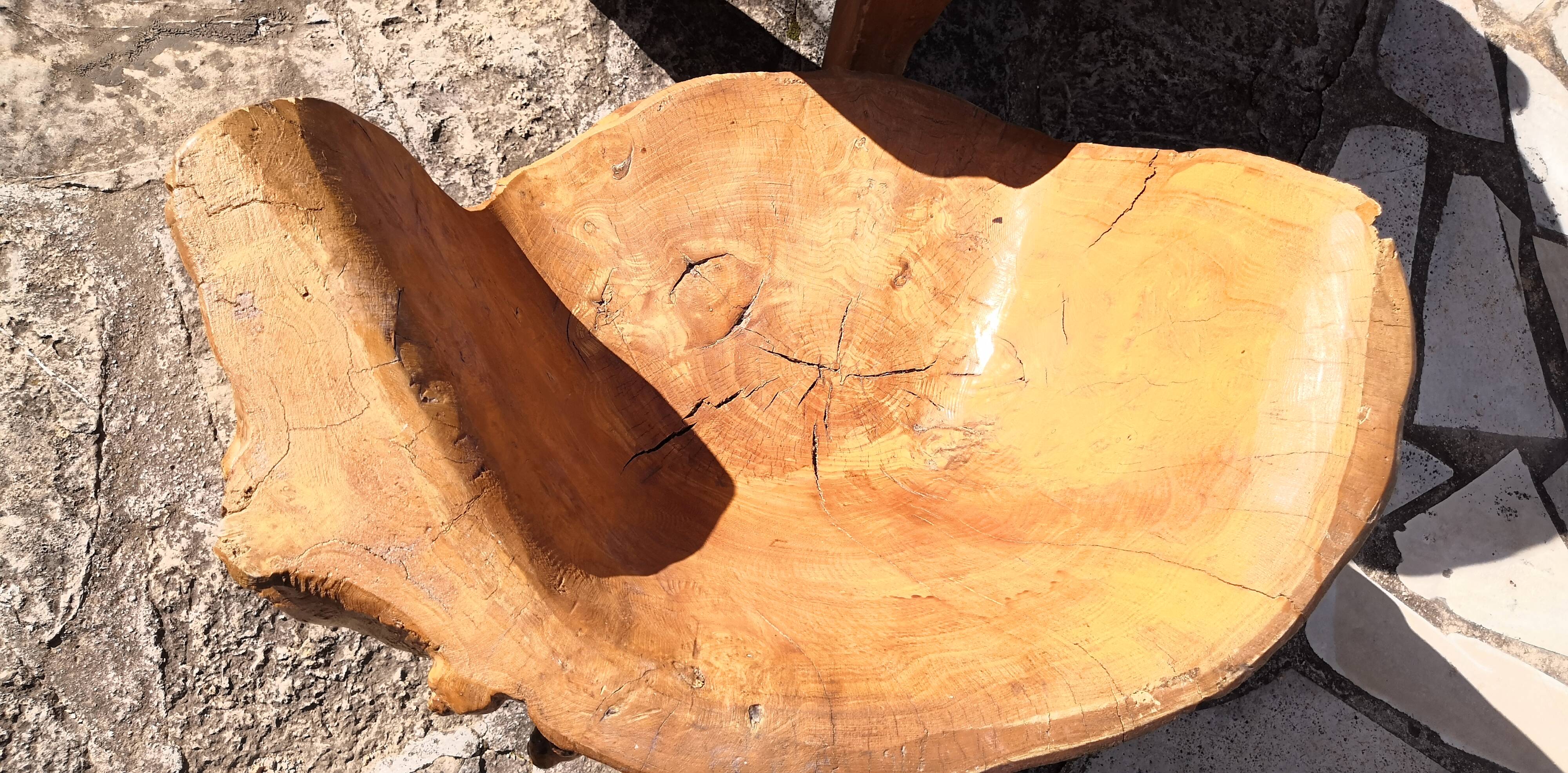 Living room 2 armchairs & coffee table in elm brutalist design 1950