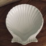 Empty pocket scallop shell