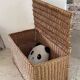 Vintage Rattan Chest Basket