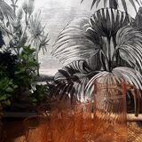 Orange service Arcoroc in rosaline pink glass