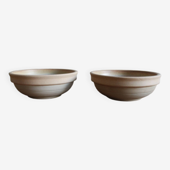 Set of two stoneware bowls