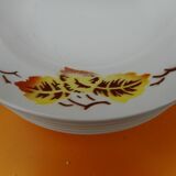 Set of 11 earthenware plates