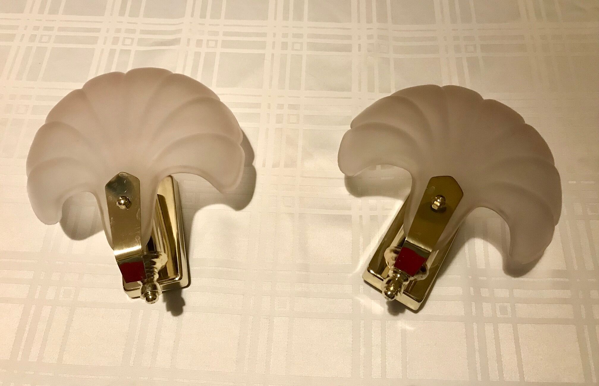 Pair of shell sconces