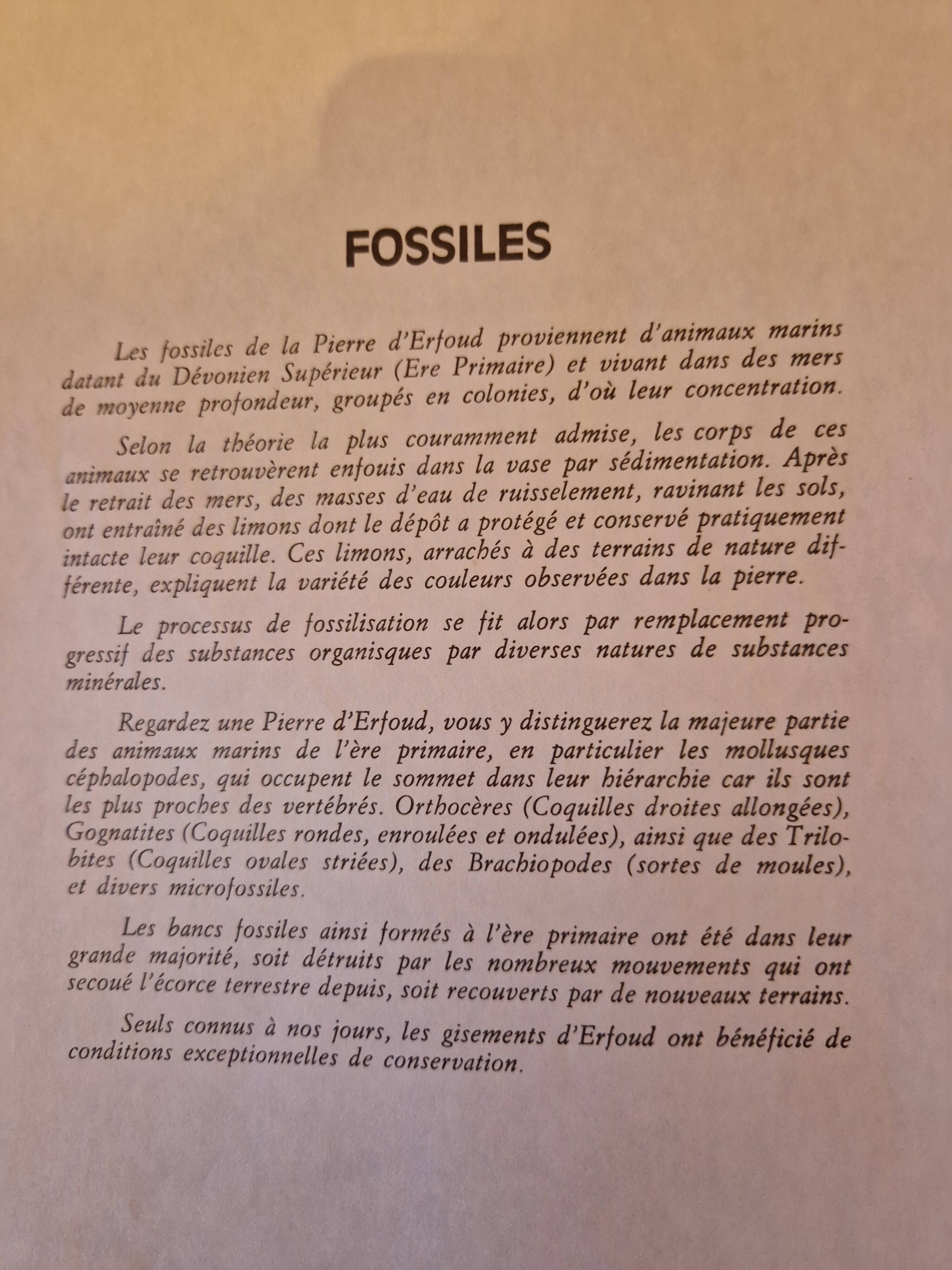 Brutalist coffee table 1960 to 1970 with inclusion of erfoud stone mosaic