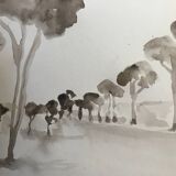 Painting signed monochrome watercolor “pine forest in Provence”