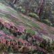 Large HST painting "Animated landscape" Dauphiné Creuse (?) signed P. Richard 1941