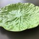6 slush dessert plates with green leaves