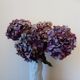 Bareuther Germany Bisque Porcelain Vase