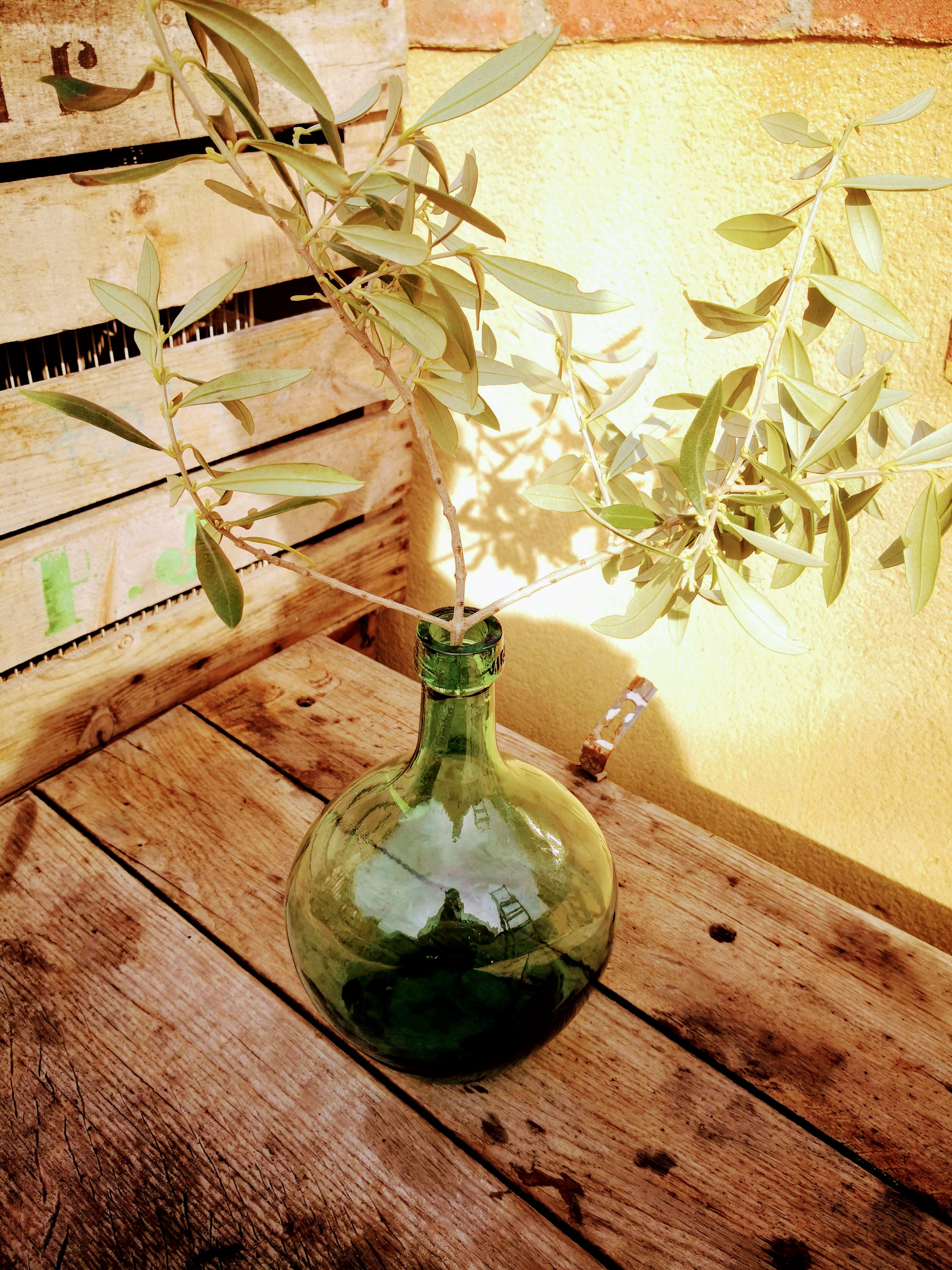 Demijohn Viresa Oval 2 liters