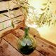 Demijohn Viresa Oval 2 liters
