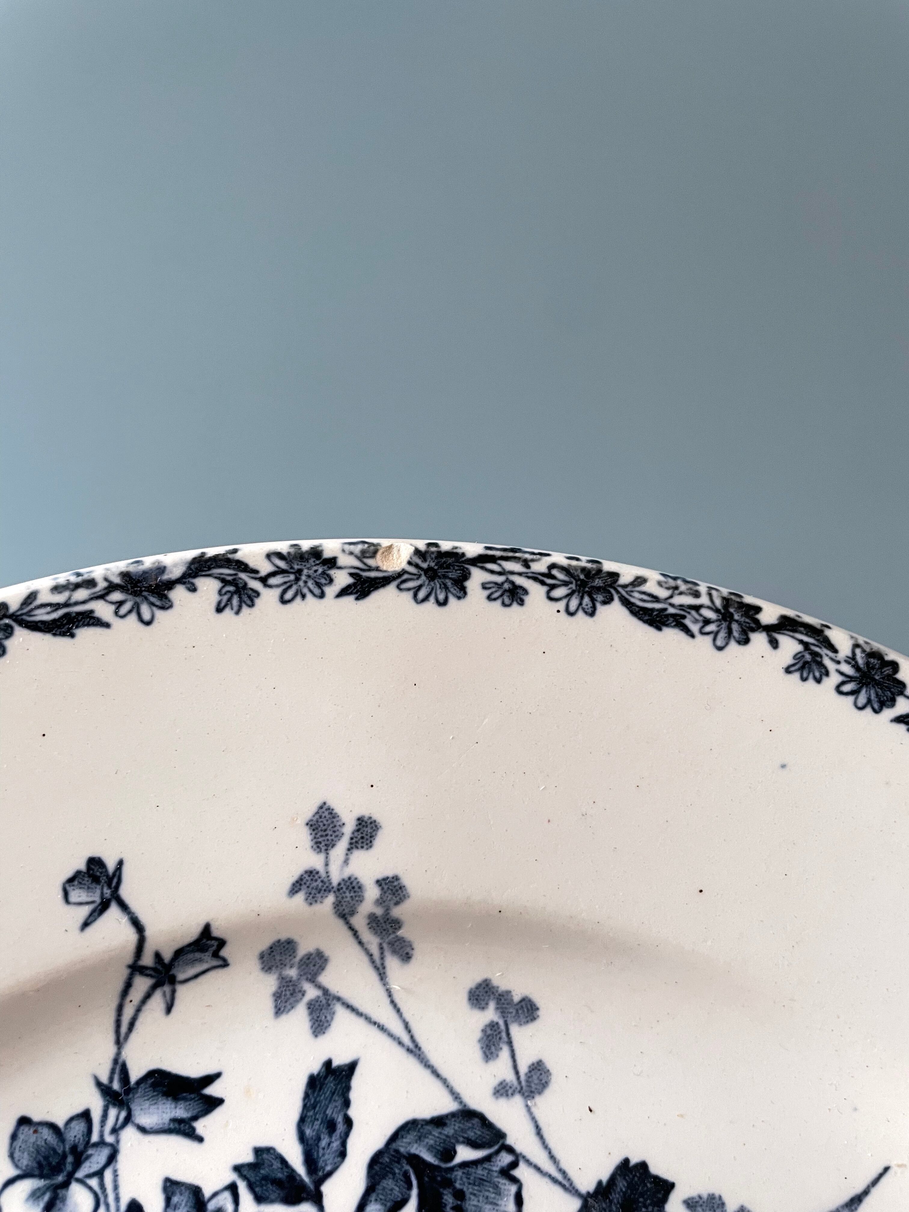 Series of 5 flat plates Terre de Fer HB and Cie Choisy Le Roi