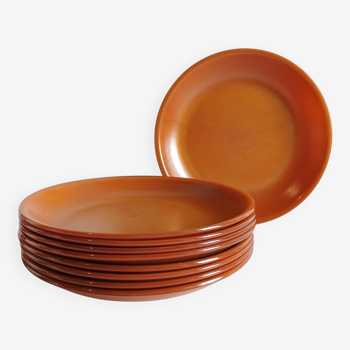 Lot de 9 assiettes marron opaline vintage