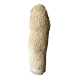 Vintage white coral