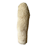 Vintage white coral