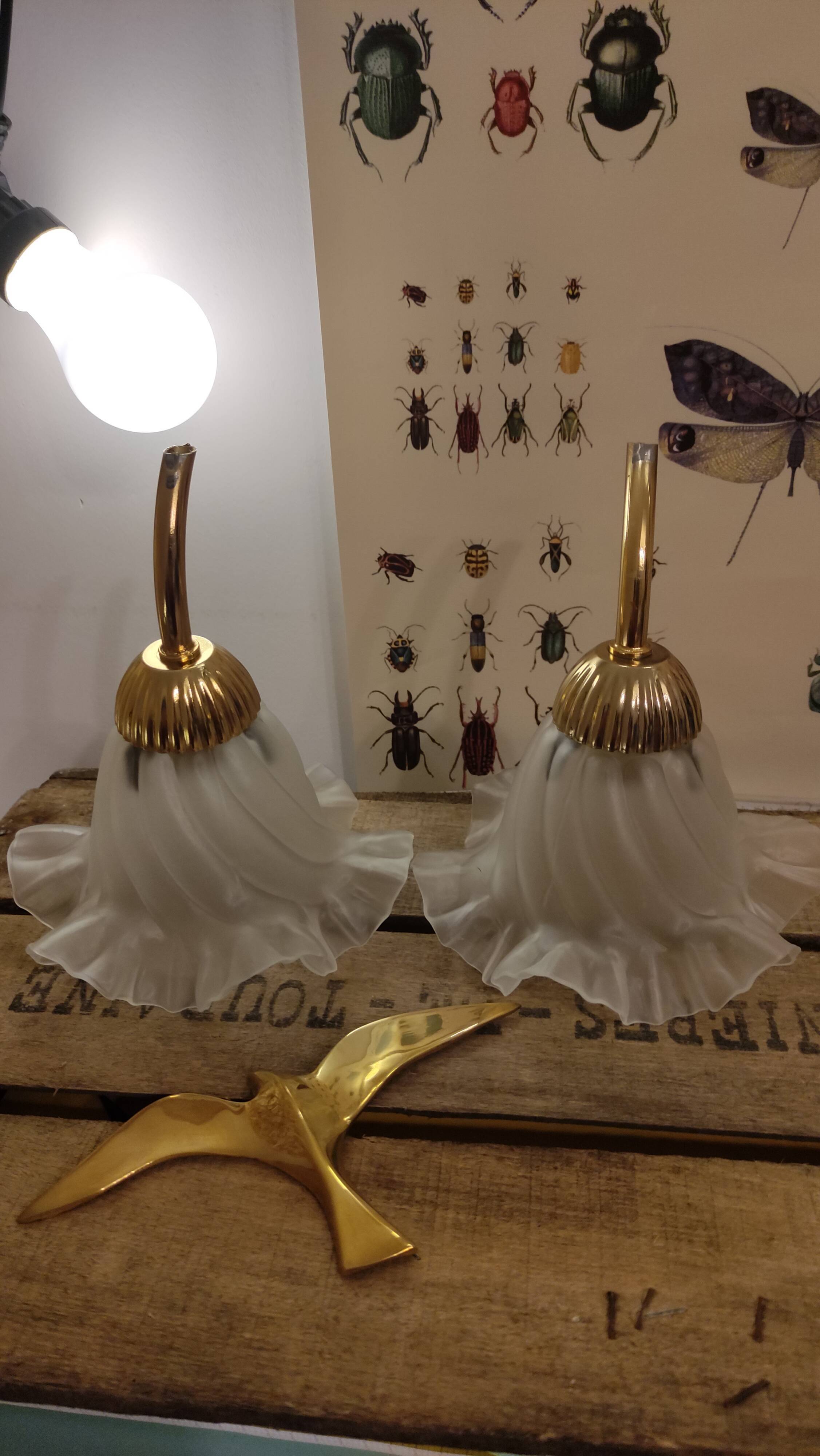 Duo of lampshade, art deco tulip globe