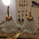Duo of lampshade, art deco tulip globe