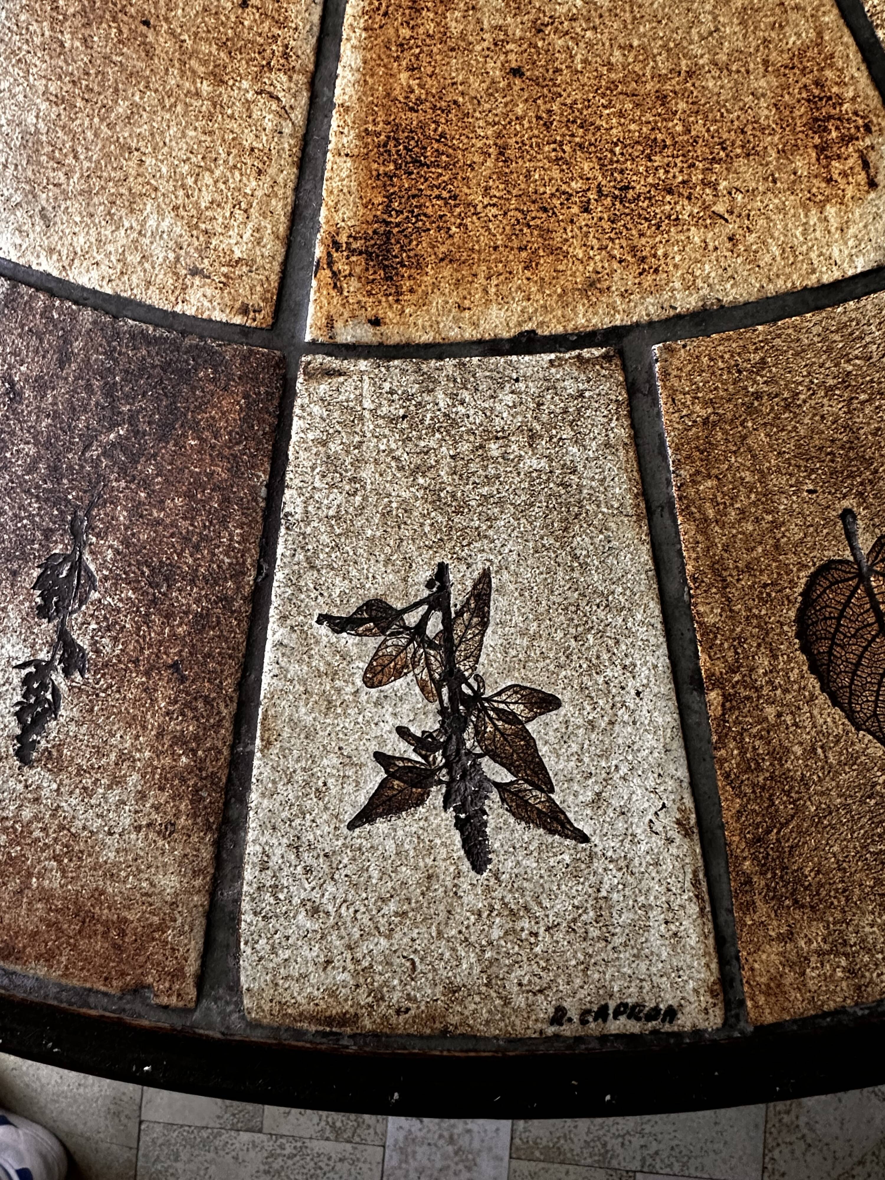 Roger Capron herbarium table